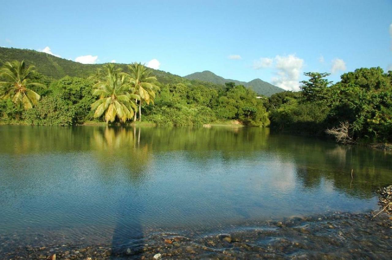 Du Manial